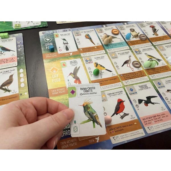 Wingspan Americas Expansion Board Game - Packshot 6