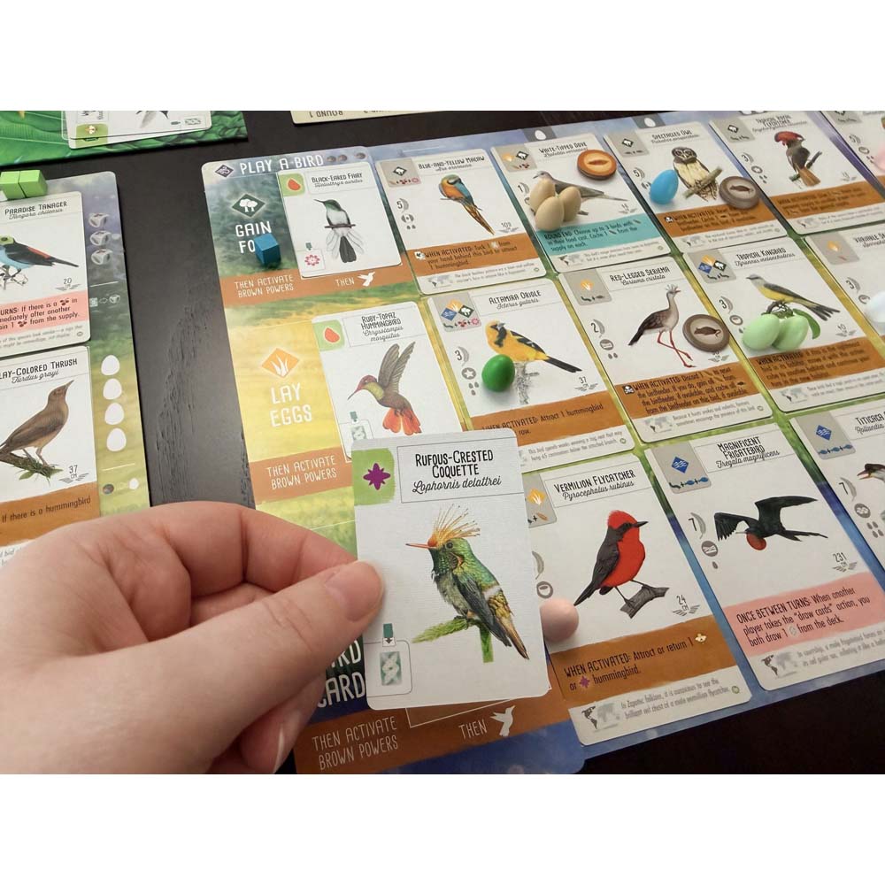Wingspan Americas Expansion Board Game - Packshot 6