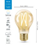 WiZ A60 E27 7W Smart Filament Globe Gen2 - Packshot 2