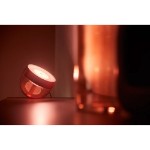 Philips - Hue Iris Copper Special Edition Lamp - Packshot 4
