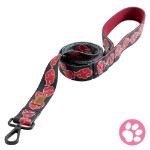 Naruto - Akatsuki Pet Lead