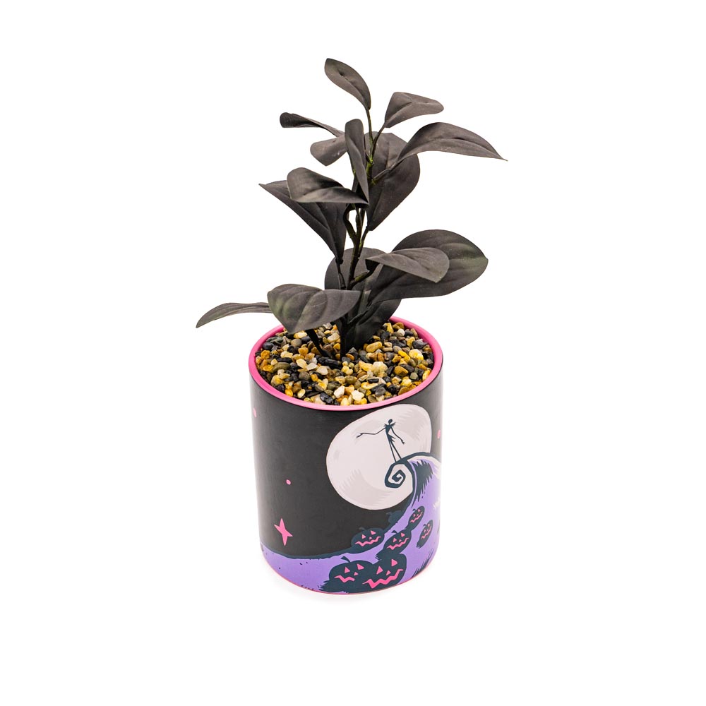 Disney - The Nightmare Before Christmas - Jack Skellington Spiral Peak Plant Pot (with Plant) - Packshot 2