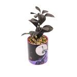 Disney - The Nightmare Before Christmas - Jack Skellington Spiral Peak Plant Pot (with Plant) - Packshot 2