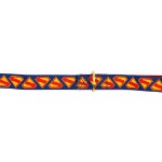 DC Comics - Superman 2025 - Superman Shield Pet Lead - Packshot 3