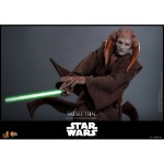Star Wars - Saesee Tiin 1/6 Scale Action Figure - Packshot 6