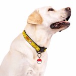 Pokemon - Pokeball Classic Pet ID Tag - Packshot 2