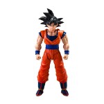 Dragon Ball Z - Son Goku (Kind-hearted Saiyan) S.H.Figuarts Action Figure - Packshot 1