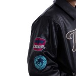 How to Train Your Dragon - Toothless Jacket - Packshot 4
