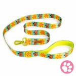 Scooby Doo - Classic Scooby Pet Lead