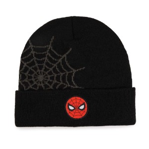 Marvel - Spider-Man - Spider Web Beanie