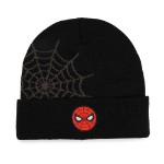 Marvel - Spider-Man - Spider Web Beanie