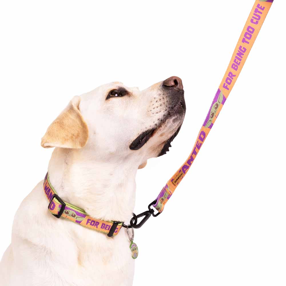 Star Wars - The Mandalorian - Grogu Wanted Pet Lead - Packshot 4
