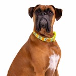 Scooby Doo - Classic Scooby Pet Collar - Packshot 2