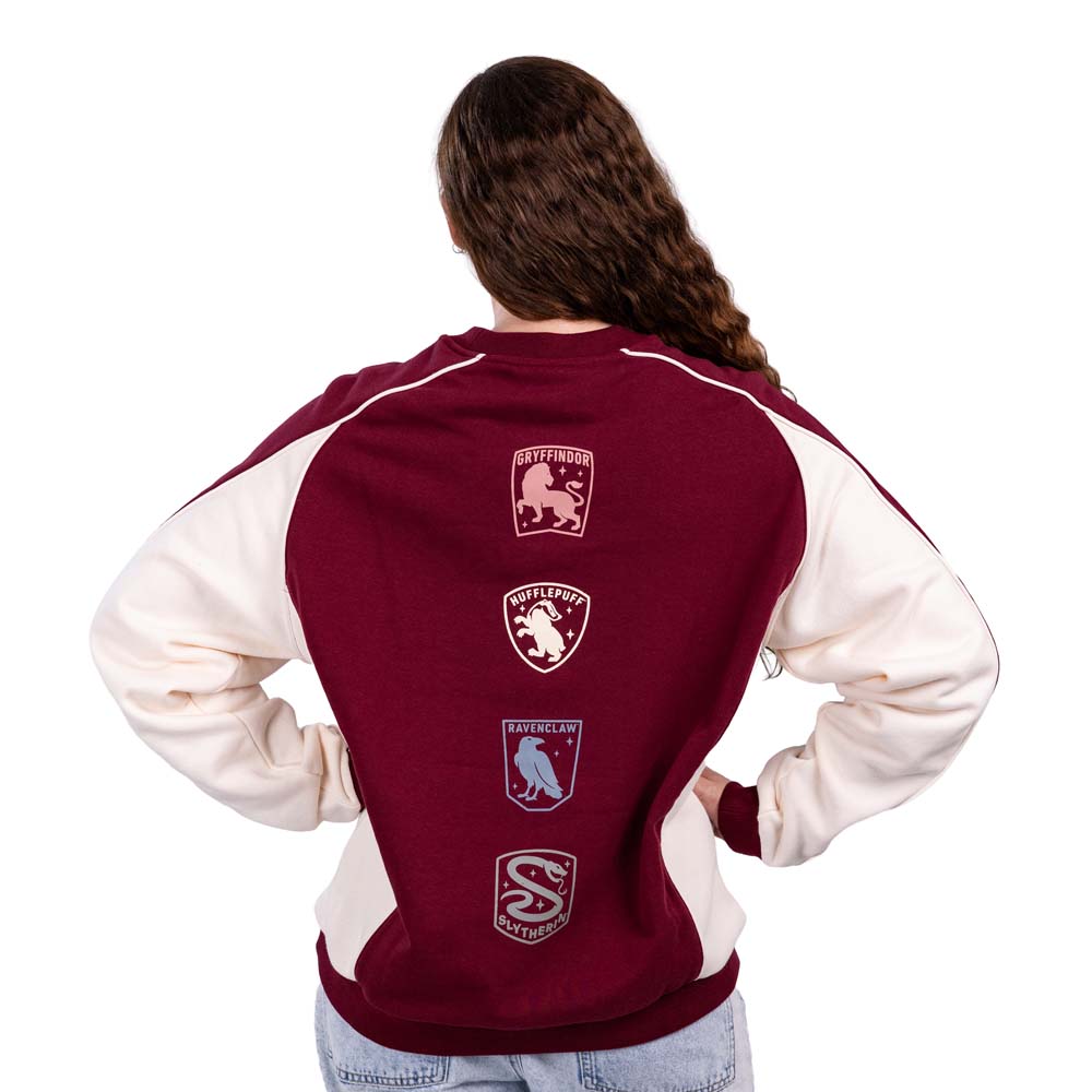 Harry Potter - Hogwarts Jumper - Packshot 5