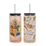 Harry Potter - Hogwarts Glass Cup with Straw Twin Pack