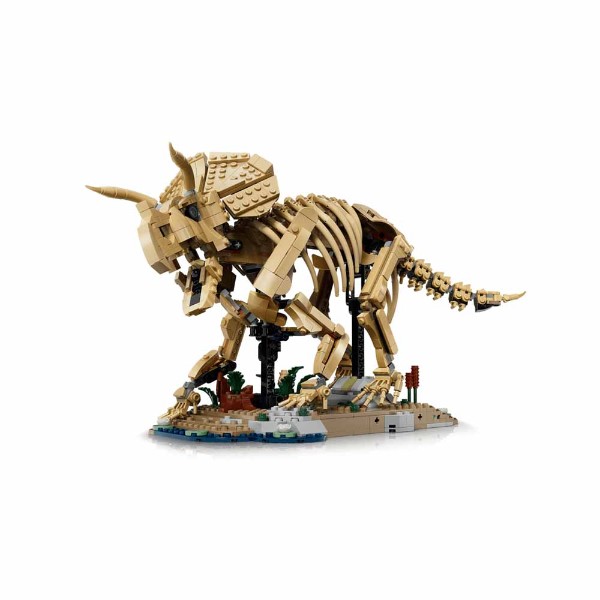 Jurassic Park – LEGO Dinosaur Fossils: Triceratops #77985 - Packshot 3