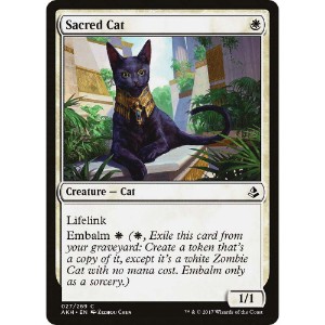 Magic: The Gathering - TCG - Amonkhet - Sacred Cat 27