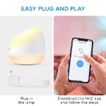 WiZ Squire Zone LED Lamp - Packshot 5