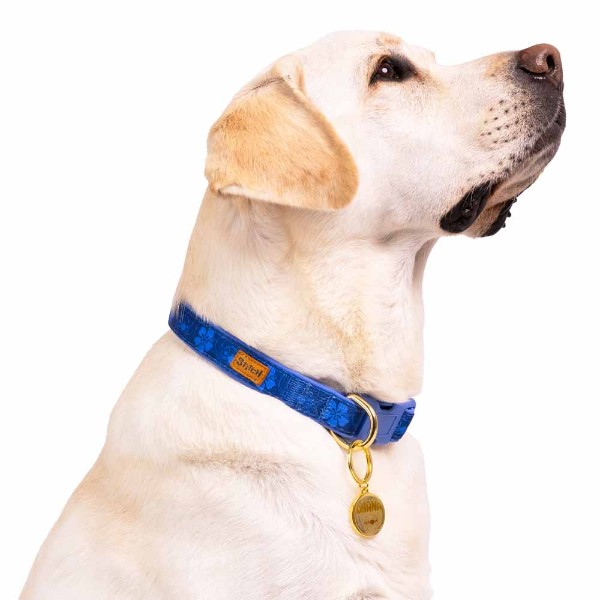 Disney - Lilo & Stitch - Stitch Hibiscus Pet Collar - Packshot 2