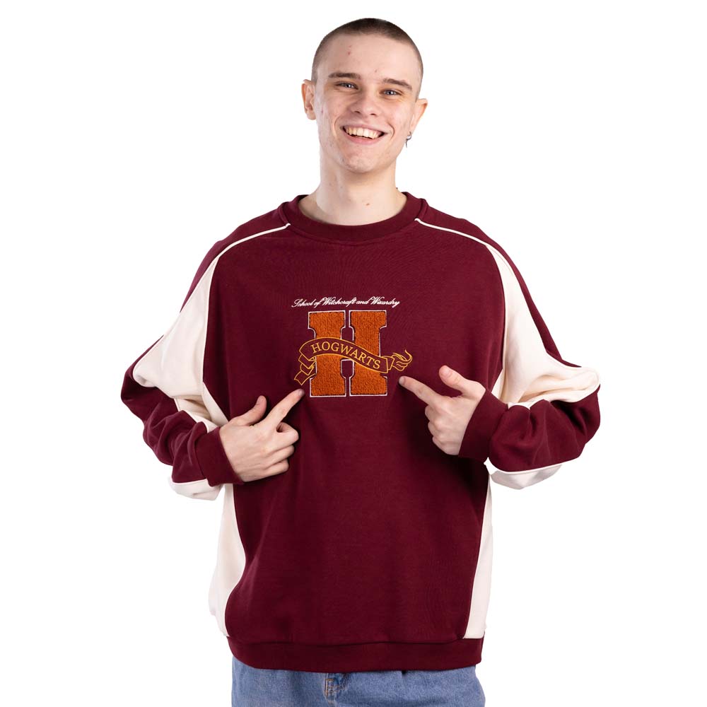 Harry Potter - Hogwarts Jumper - Packshot 2