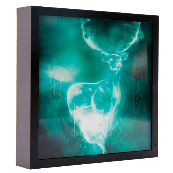 Harry Potter Patronus Light Box Wall Art