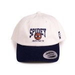 Marvel - Spider-Man - Amazing Since '62 Youth Dad Cap by Flexfit Yupoong - Packshot 2