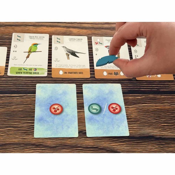Wingspan Pocket - Packshot 4