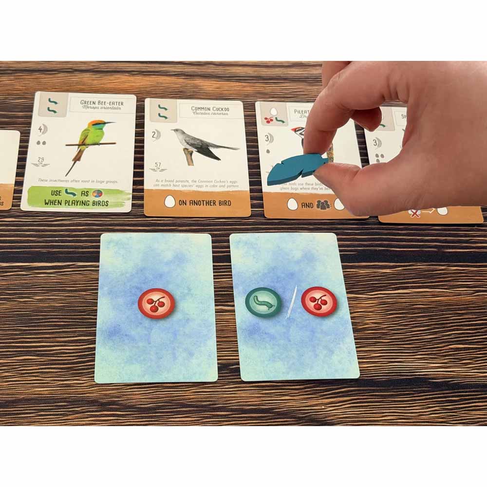 Wingspan Pocket - Packshot 4