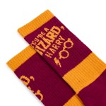 Harry Potter 25th Anniversary - You're a Wizard Sport Socks - Packshot 2