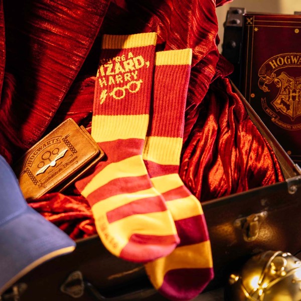 Harry Potter 25th Anniversary - You're a Wizard Sport Socks - Packshot 3