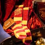 Harry Potter 25th Anniversary - You're a Wizard Sport Socks - Packshot 3