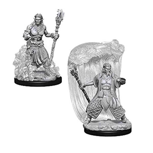 D/&d Nolzurs Marvelous Miniatures Water Genasi Male Druid