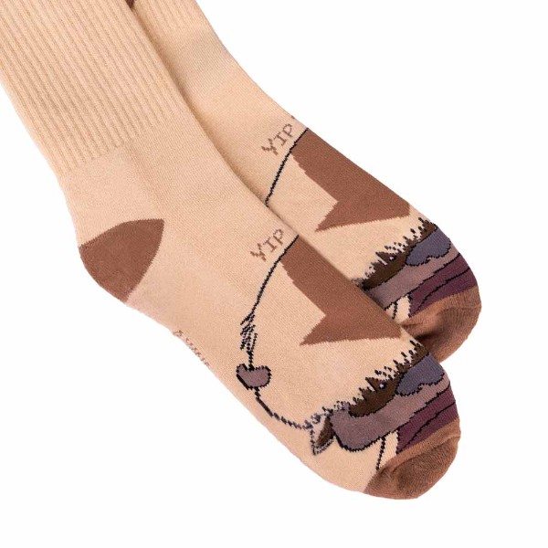 Avatar: The Last Airbender - Appa Arrow Sport Socks - Packshot 3