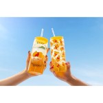 Disney - Winnie the Pooh - Winnie Glass Cup with Straw Twin Pack - Packshot 3
