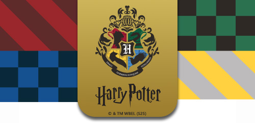 Wizarding World's Harry Potter