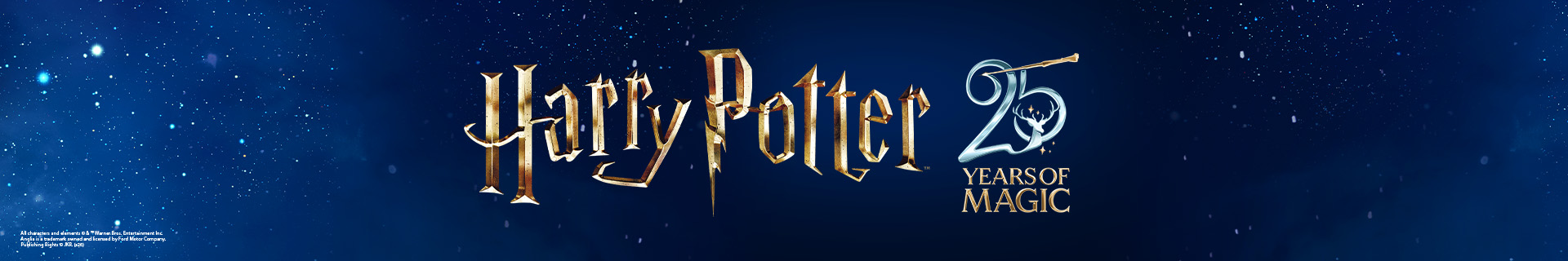 Wizarding World's Harry Potter