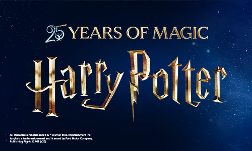 Wizarding World's Harry Potter