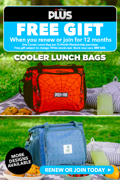 Best Value - 12 Months for $49