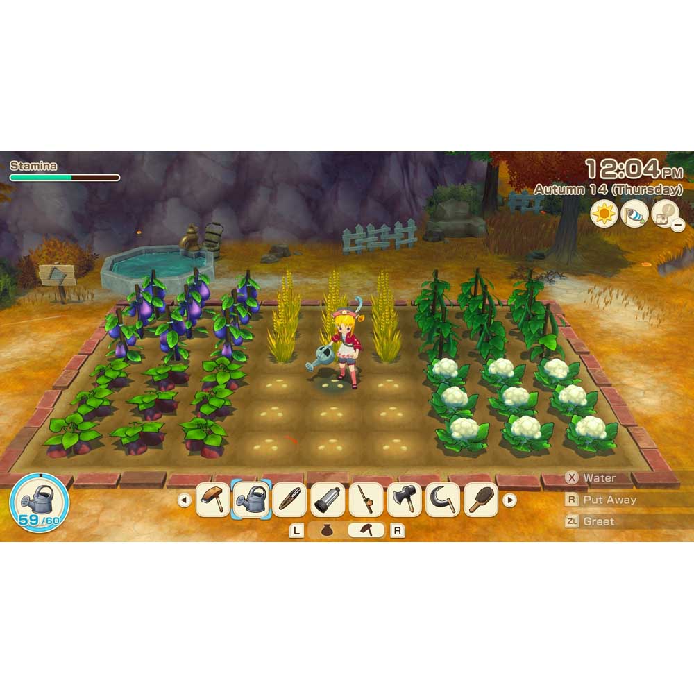 Story of Seasons: Grand Bazaar - Screenshot 6
