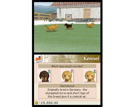 Nintendogs Dachshund and Friends - Screenshot 2