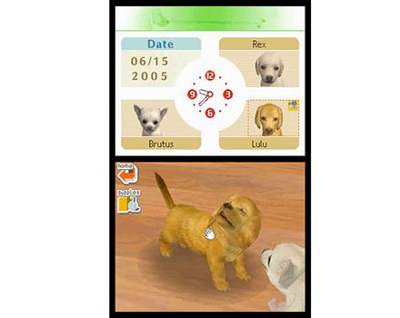 Nintendogs Dachshund and Friends - Screenshot 3