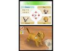 Nintendogs Dachshund and Friends - Screenshot 3