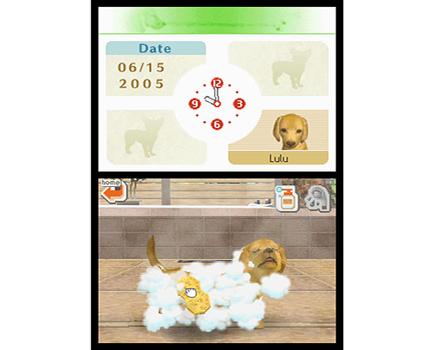 Nintendogs Dachshund and Friends - Screenshot 4