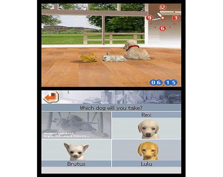Nintendogs Dachshund and Friends - Screenshot 5