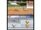 Nintendogs Dachshund and Friends - Screenshot 5