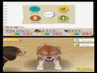 Nintendogs Dachshund and Friends - Screenshot 7
