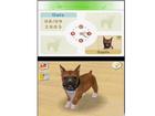 Nintendogs Labrador and Friends - Screenshot 1