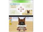 Nintendogs Labrador and Friends - Screenshot 2