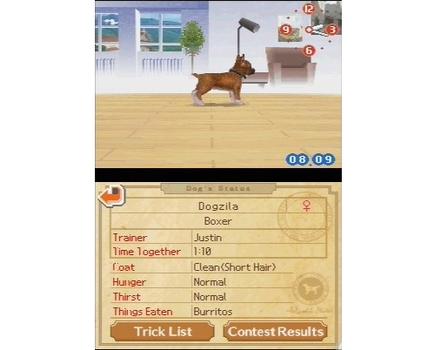 Nintendogs Labrador and Friends - Screenshot 3
