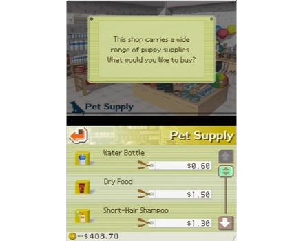 Nintendogs Labrador and Friends - Screenshot 4
